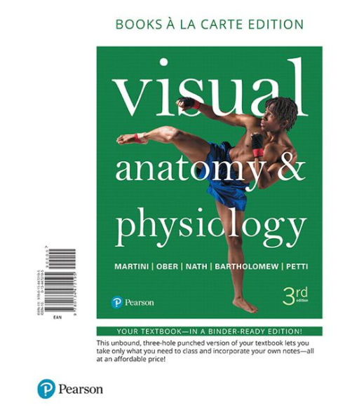 Visual Anatomy & Physiology