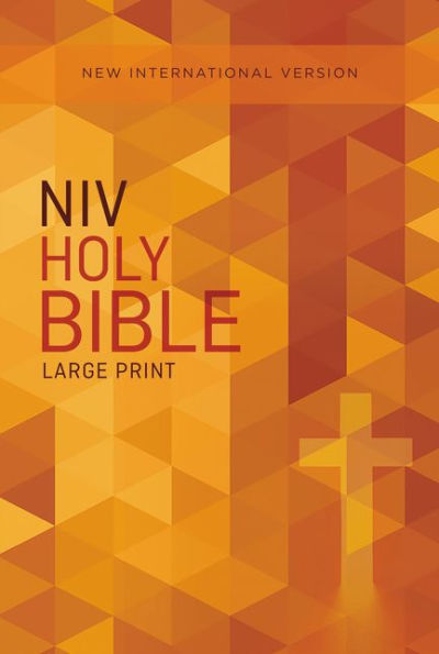 Niv, Outreach Bible, Large Print, Paperback - 9780310446361