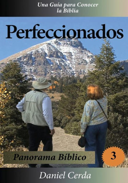 Perfeccionados: Panorama Bíblico (Spanish Edition)