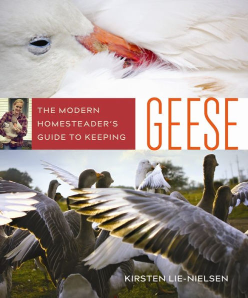 The Modern Homesteader'S Guide To Keeping Geese