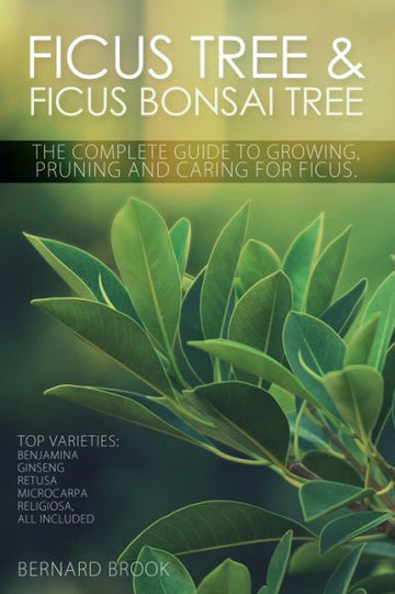 Ficus Tree And Ficus Bonsai Tree. The Complete Guide To Growing, Pruning And Caring For Ficus. Top Varieties: Benjamina, Ginseng, Retusa, Microcarpa, Religiosa All Included.