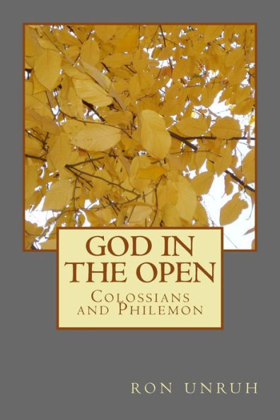 God In The Open: Colossians And Philemon (New Testament Series)