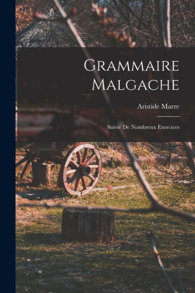 Grammaire Malgache: Suivie De Nombreux Exercices (Catalan Edition)