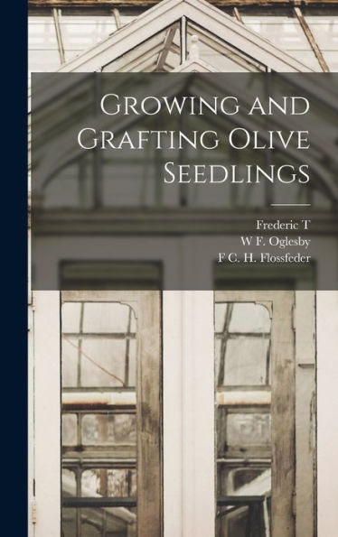 Growing And Grafting Olive Seedlings