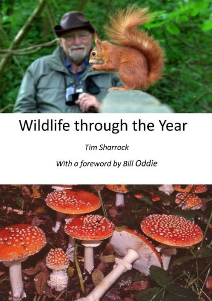 Wildlife Through The Year