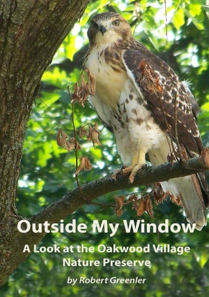 Outside My Window: A Look At The Oakwood Village Nature Preserve