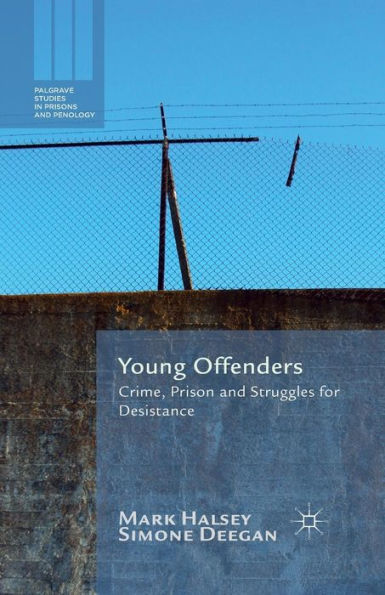 Young Offenders: Crime, Prison And Struggles For Desistance (Palgrave Studies In Prisons And Penology)