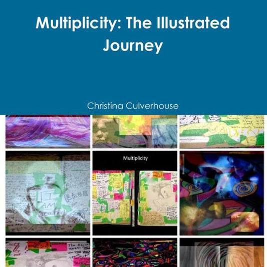 Multiplicity: The Illustrated Journey