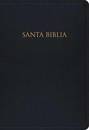 Santa Biblia: Reina-Valera 1960 Para Regalos Y Pemios Negro Imitaci?ú??N Piel (Spanish Edition)