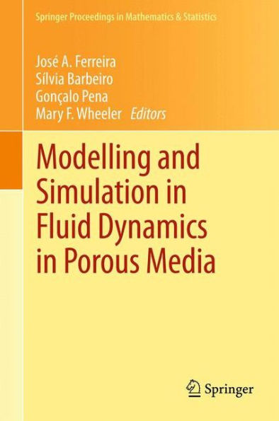 Modelling And Simulation In Fluid Dynamics In Porous Media (Springer Proceedings In Mathematics & Statistics, 28)