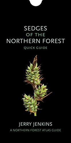 Sedges Of The Northern Forest: Quick Guide (The Northern Forest Atlas Guides)