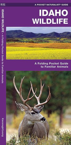 Idaho Wildlife: A Folding Pocket Guide To Familiar Animals (Wildlife And Nature Identification)