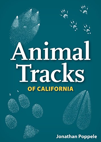 Animal Tracks of California Playing Cards (Nature's Wild Cards)