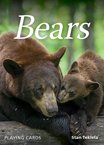 Bears Playing Cards (Nature's Wild Cards)