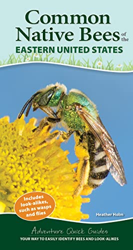 Common Native Bees of the Eastern United States: Your Way to Easily Identify Bees and Look-Alikes (Adventure Quick Guides)