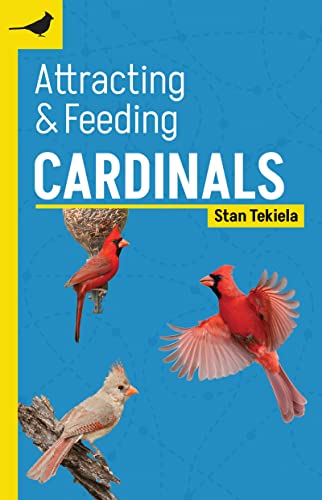 Attracting & Feeding Cardinals (Backyard Bird Feeding Guides)