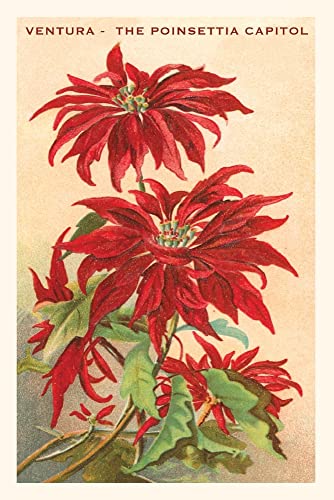 The Vintage Journal Ventura, The Poinsettia Capital (Pocket Sized