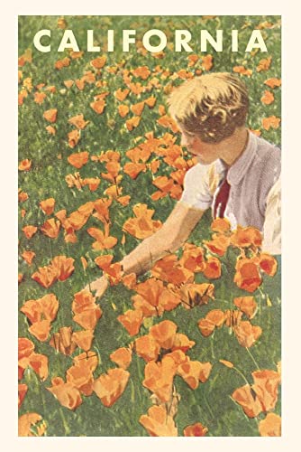 The Vintage Journal Woman Sitting In Field Of California Poppies (Pocket Sized