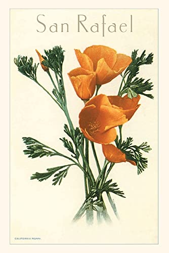 Vintage Journal San Rafael, California Poppies (Pocket Sized