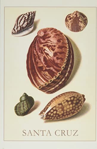 Vintage Journal Santa Cruz Shells (Pocket Sized