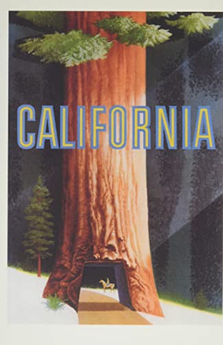 Vintage Journal Stylized California Sequoia (Pocket Sized