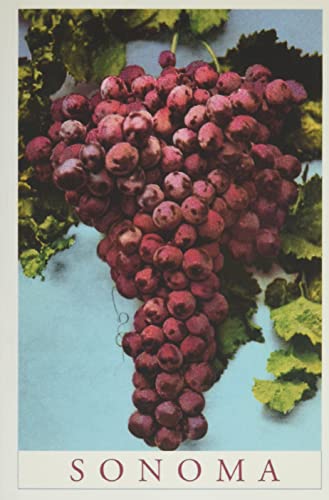 Vintage Journal Sonoma Grapes (Pocket Sized