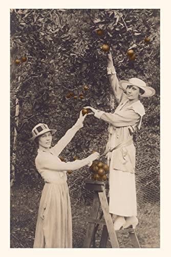 Vintage Journal Women Picking Oranges (Pocket Sized