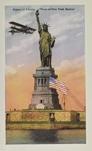 Vintage Journal Statue Of Liberty With Biplane, New York City (Pocket Sized