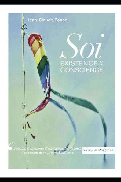 Brèves de Méditation: Soi Existence X Conscience (French Edition)