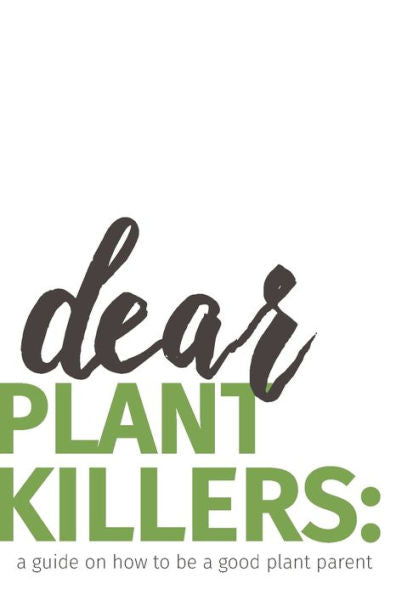 dear plant killers: a guide on how to be a good plant parent