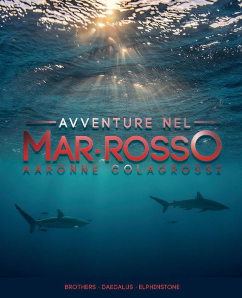 Avventure nel Mar Rosso: Brothers - Daedalus - Elphinstone (Collana Viaggi&Reportage) (Italian Edition)