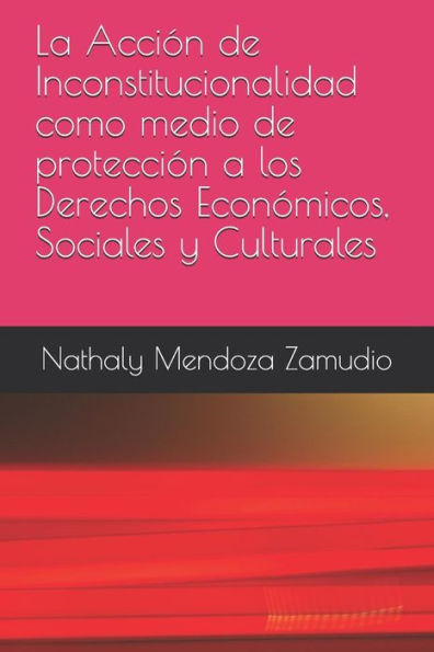 La Acci?n de Inconstitucionalidad como medio de protecci?n a los Derechos Econ?micos, Sociales y Culturales (Spanish Edition)