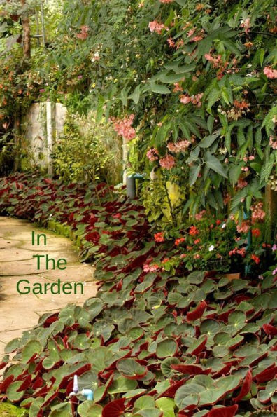 In The Garden - 9781796397604