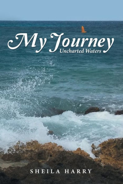 My Journey : Uncharted Waters - 9781973669661