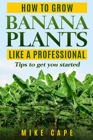 How to grow Banana Plants like a Professional: Beginner’s guide and tips to get you started