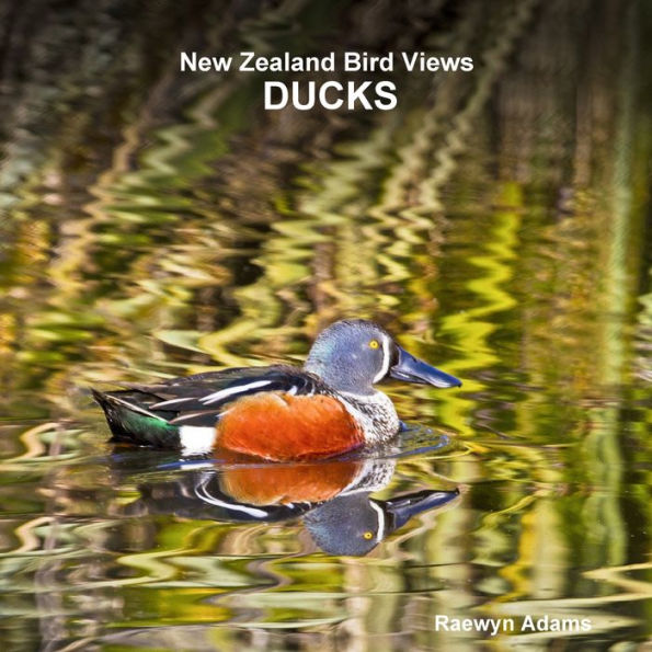 New Zealand Bird Views : Ducks