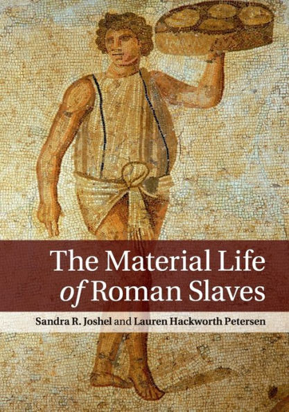 The Material Life Of Roman Slaves