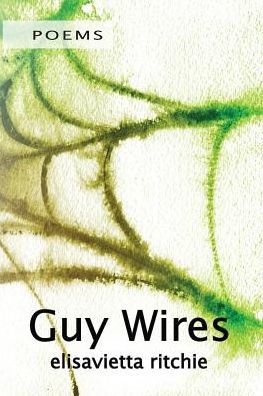 Guy Wires