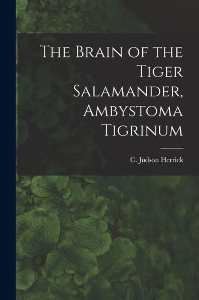 The Brain Of The Tiger Salamander, Ambystoma Tigrinum