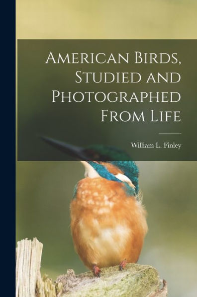 American Birds, Studied And Photographed From Life