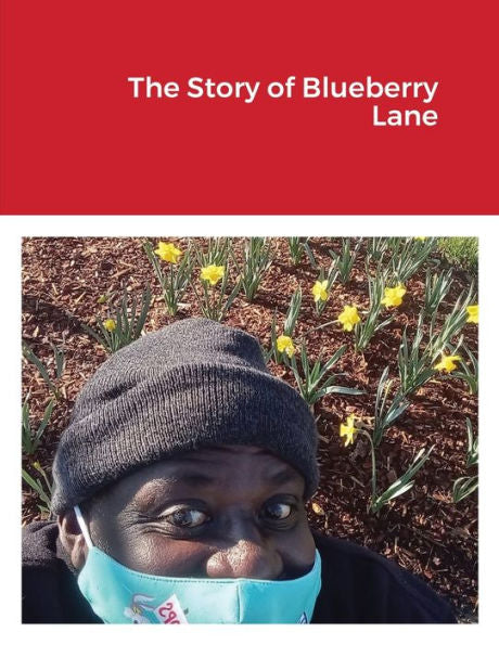 La historia de Blueberry Lane