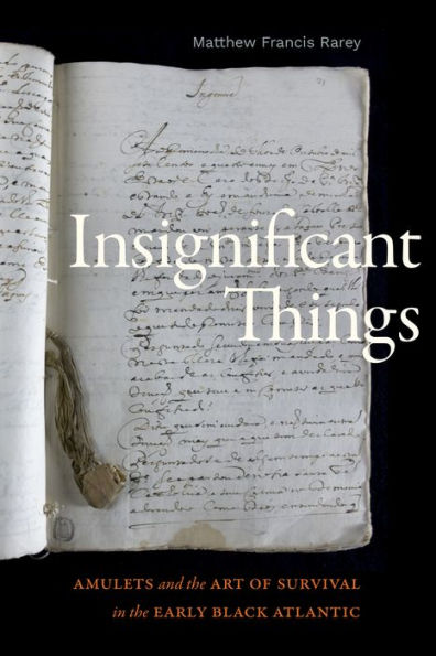 Insignificant Things: Amulets And The Art Of Survival In The Early Black Atlantic (The Visual Arts Of Africa And Its Diasporas)