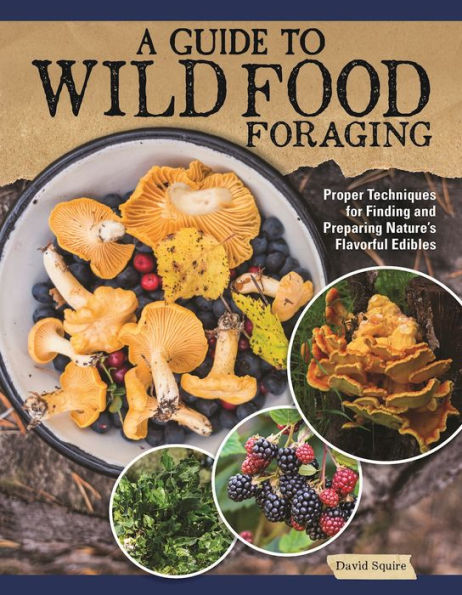 A Guide To Wild Food Foraging: Proper Techniques For Finding And Preparing Nature'S Flavorful Edibles (Imm Lifestyle Books) How To Forage Over 100 Herbs, Fruits, Nuts, Mushrooms, Shellfish, And More