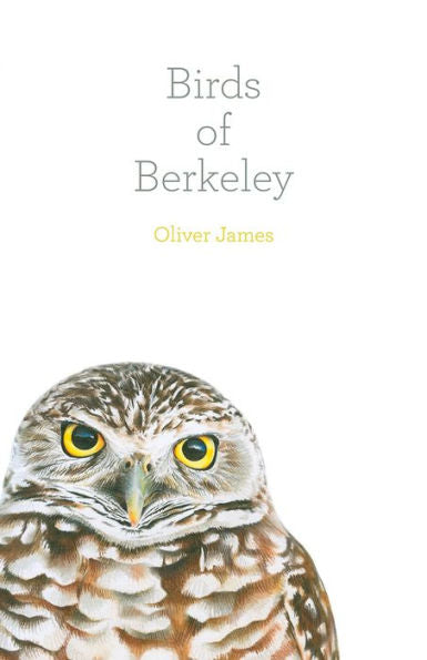 Birds Of Berkeley