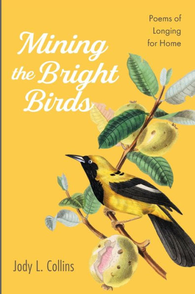 Mining The Bright Birds: Poems Of Longing For Home