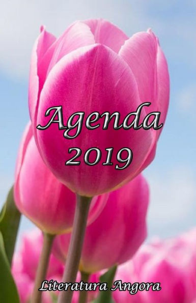 Agenda 2019 (Spanish Edition)