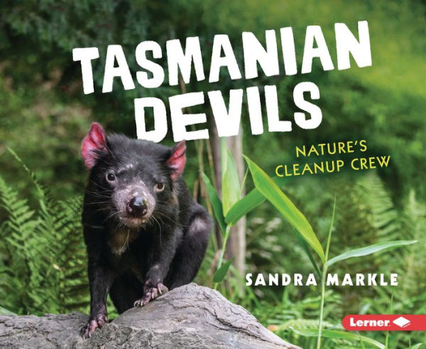 Demonios de Tasmania: Equipo de limpieza de la naturaleza (animales carroñeros en acción)