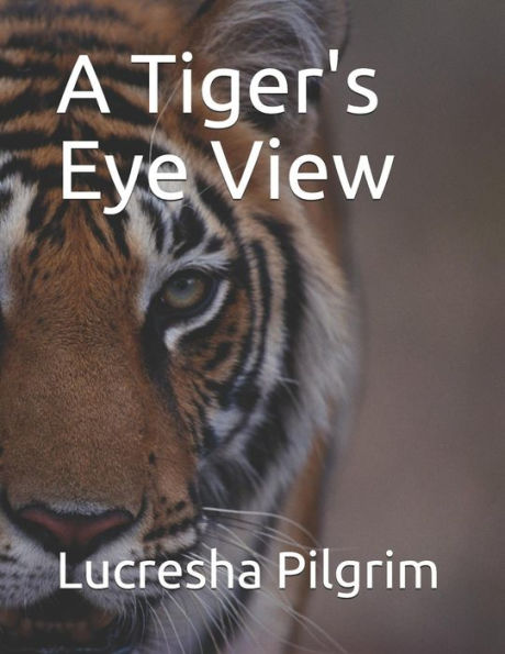 A Tiger's Eye View