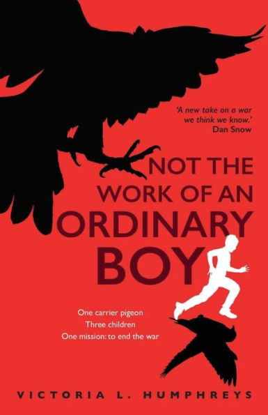 Not The Work Of An Ordinary Boy - 9781913432614