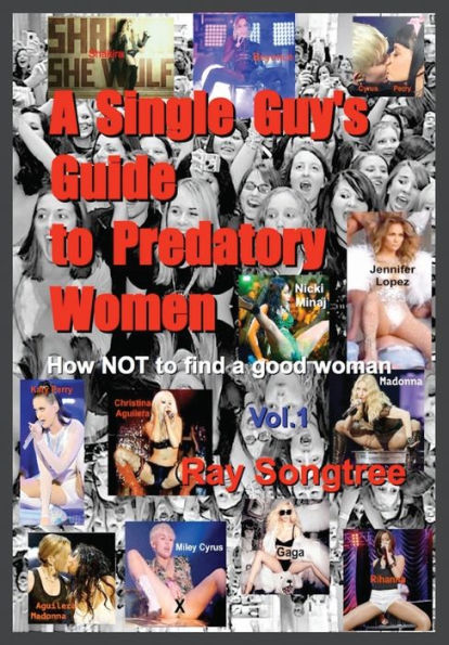 A Single Guy's Guide to Predatory Women (Vol. 1, Lipstick and War Crimes Series): Navigating Survival, Heart Break and the Media Matrix